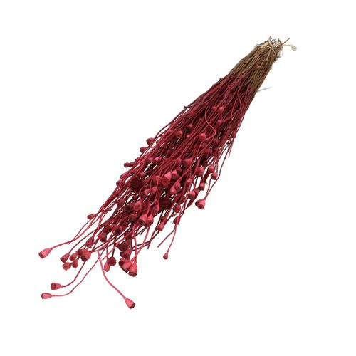Trocken-blumen Papaver Mini 60cm 4202824