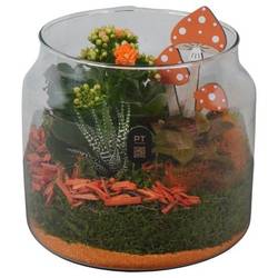Kal.Arr PTHG8221 Herbst T19 H020