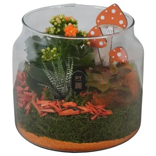 Kal.Arr PTHG8221 Herbst T19 H020