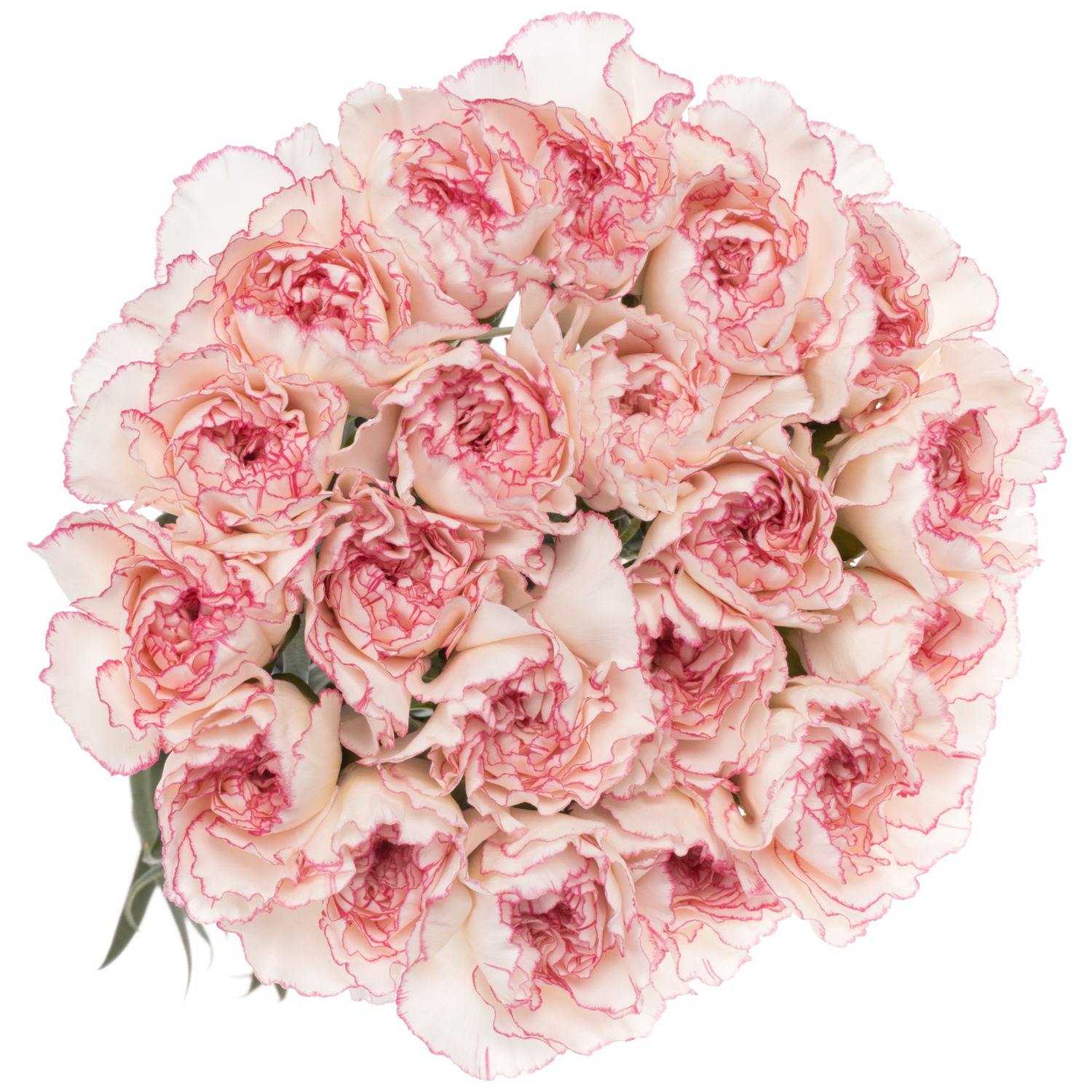 Product Nel.Pastel Damascus weiss/rosa Heyl