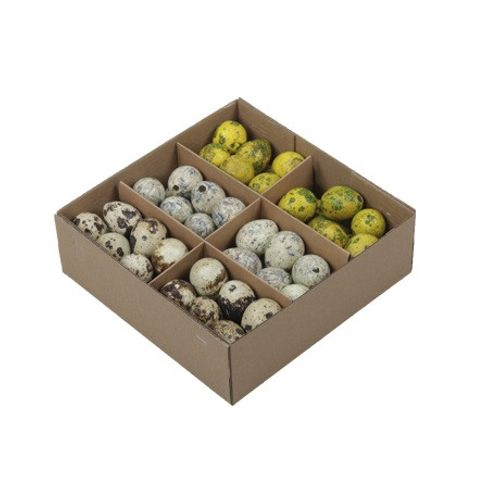 Wachtelei gelb mix D03cm 72st