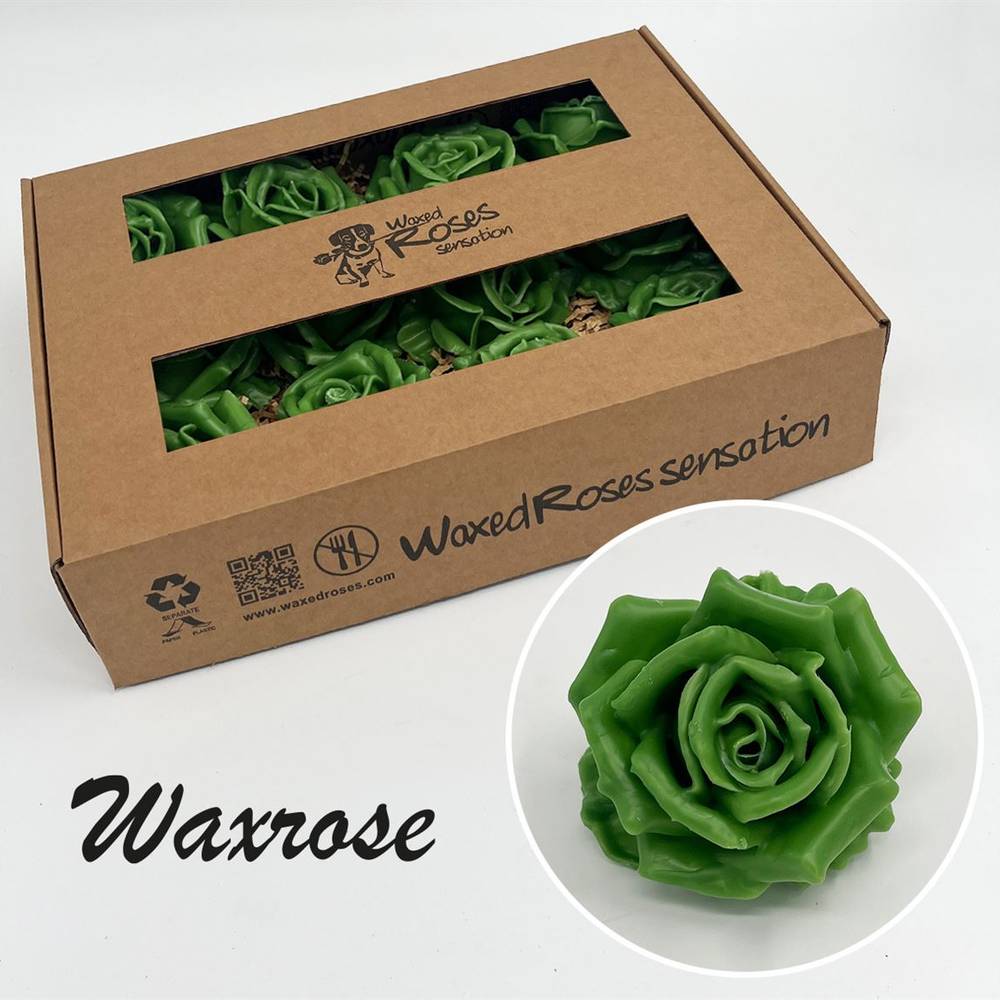 Seiden Wachs Rose grün