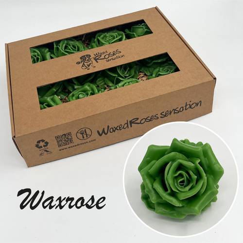 Seiden Wachs Rose grün