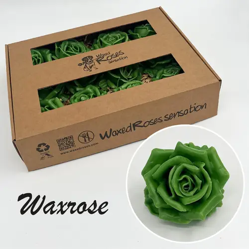 Seiden Wachs Rose grün