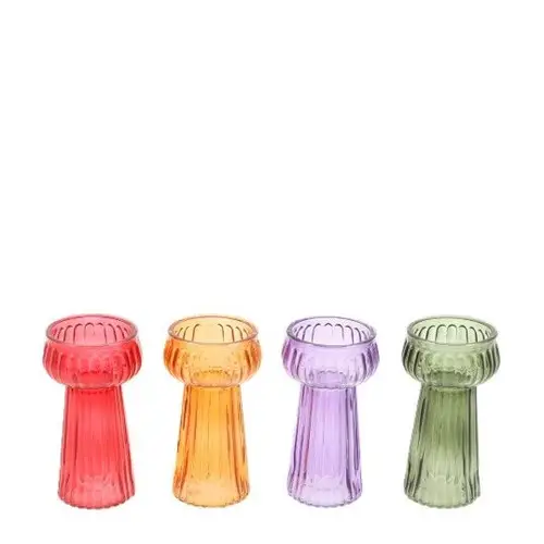 Glas Vase Hyacinth mix D07.5cm H14cm