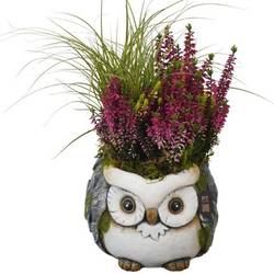 Garten.Arr PTHO7717 Herbst T16 H030