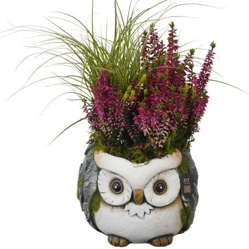 Garten.Arr PTHO7717 Herbst T16 H030