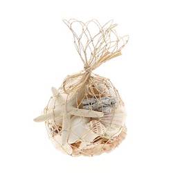 Muschel Ozean Wunder natur 500gr 