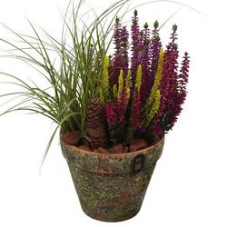 Garten.Arr PTHO7707 Herbst T14 H033