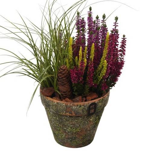 Garten.Arr PTHO7707 Herbst T14 H033
