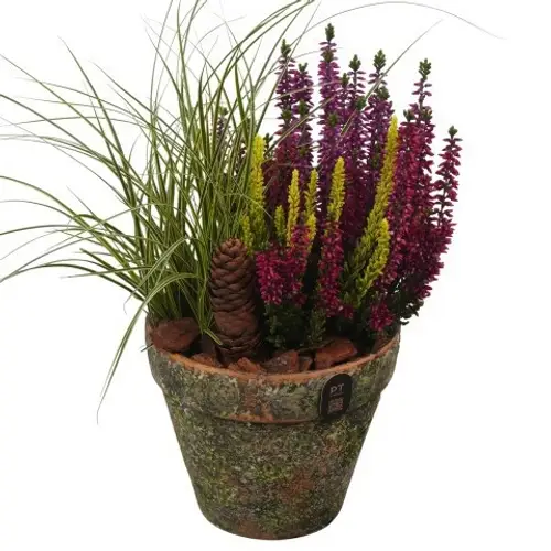 Garten.Arr PTHO7707 Herbst T14 H033