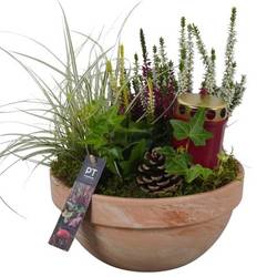 Garten.Arr PTAH8633 Allerheiligen T23 H031