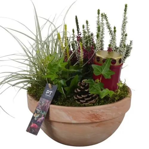 Garten.Arr PTAH8633 Allerheiligen T23 H031