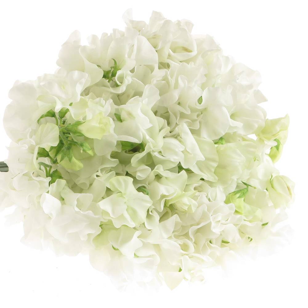 Wicken weiss    40cm Sun White