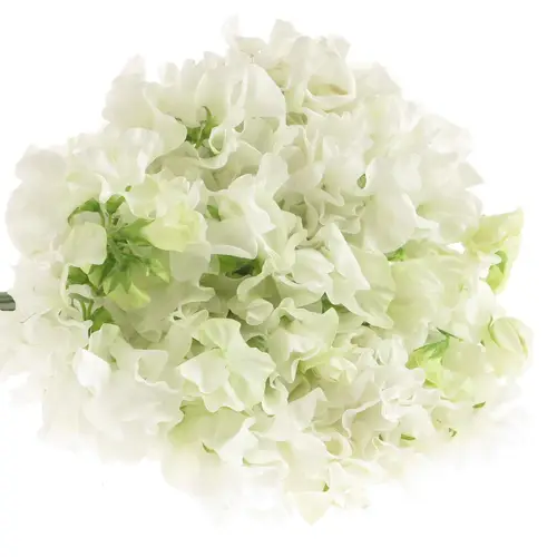 Wicken weiss    40cm Sun White