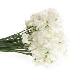 Wicken weiss    40cm Sun White
