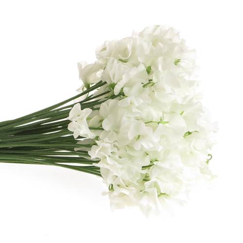 Wicken weiss    40cm Sun White