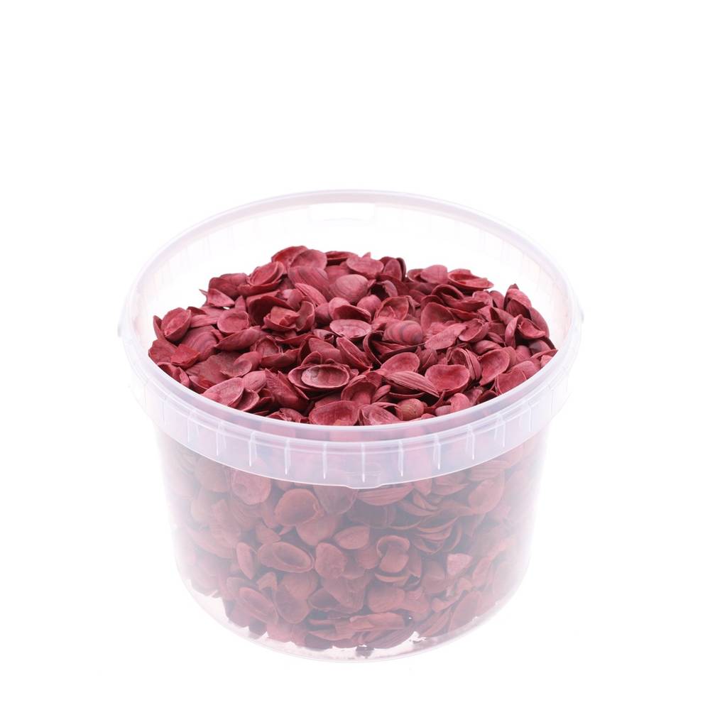 Muscheln Nordsee rot 3L