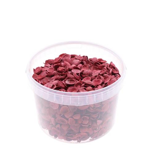 Muscheln Nordsee rot 3L