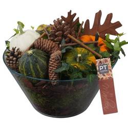 Garten.Arr PTSF8244 Herbst T26 H025