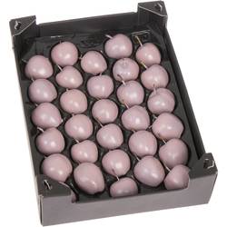 Apfel Ivoor Wachs D5cm