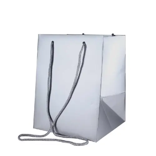 Tasche Olympic silber 25x18x18cm