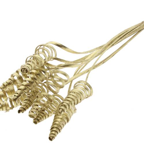 Trocken Cane Cone auf Stab gold 50cm