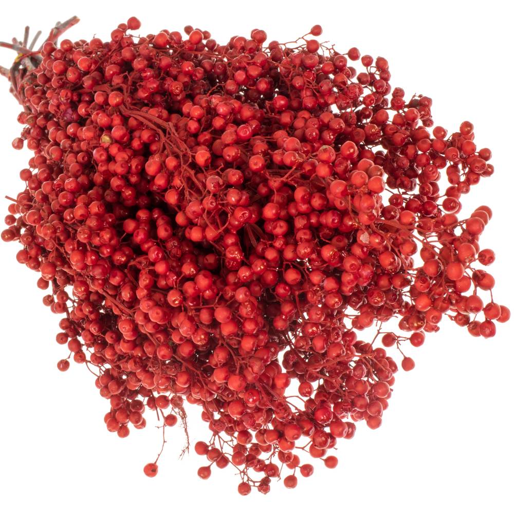 Pfeffer Berry rot gefärbt 150 Gramm