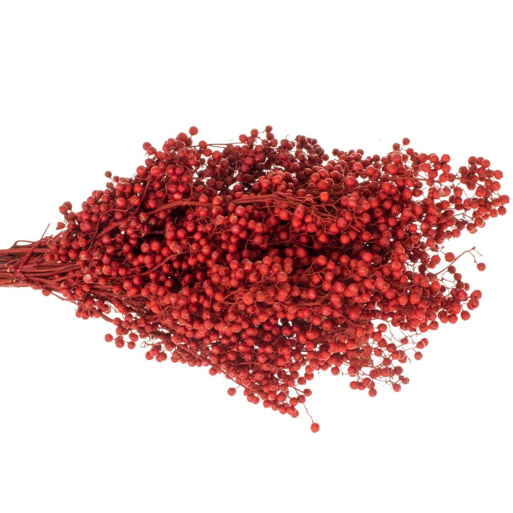 Pfeffer Berry rot gefärbt 150 Gramm