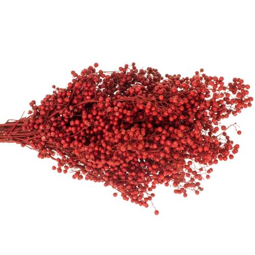 Pfeffer Berry rot gefärbt 150 Gramm