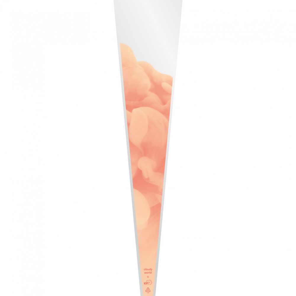 Tüte 1Rose lachs 65x14x3cm x50