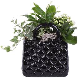 Spath.Arr YR622K0704 T20 H030