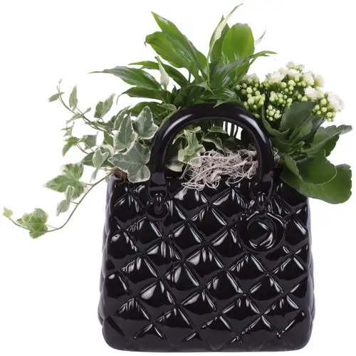 Spath.Arr YR622K0704 T20 H030