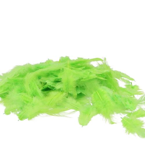 Hühnerfedern lime 20gr