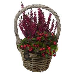 Garten.Arr PTHO7502 Herbst T16 H032