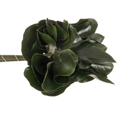 Anthurium Blatt grün Arrow 40cm