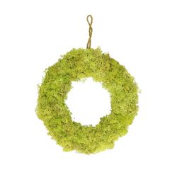 Kranz Rentiermoos grün mint D30cm
