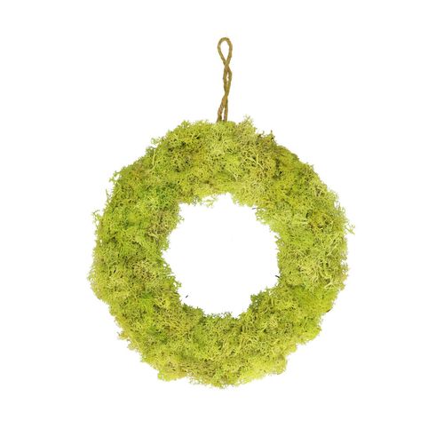Kranz Rentiermoos grün mint D30cm