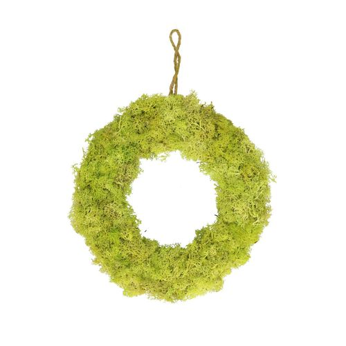 Kranz Rentiermoos grün mint D30cm