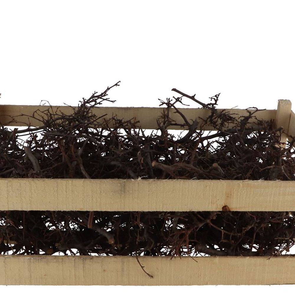 Trocken Bonsai im Holzkiste natur15cm ±100st
