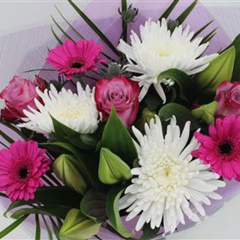 Strauß cerise Blooms 50cm 15 Stiele
