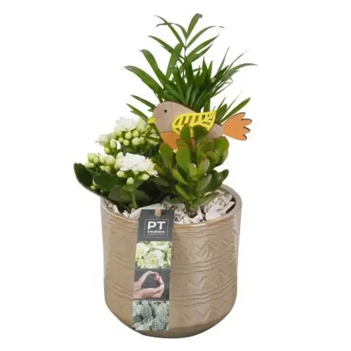 Frühling.Arr PTIB9073 T14 H028