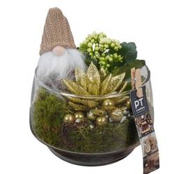 Kal.Arr PTCHG5737 Weihnachten T17 H021