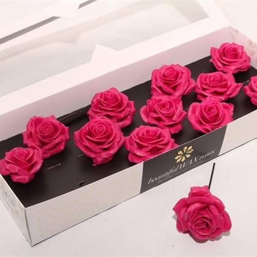 Seiden Wachs Rose fuchsia D10cm (9280)