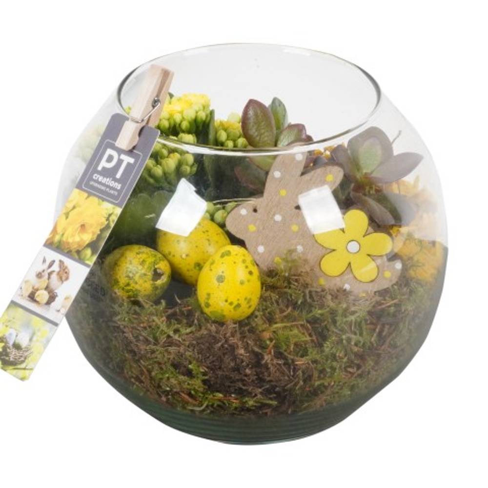Ostern Arr PTPA8891 T17 H016