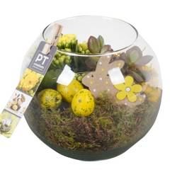 Ostern Arr PTPA8891 T17 H016