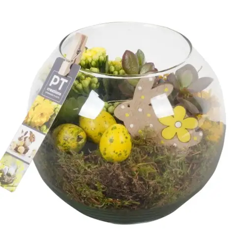 Ostern Arr PTPA8891 T17 H016