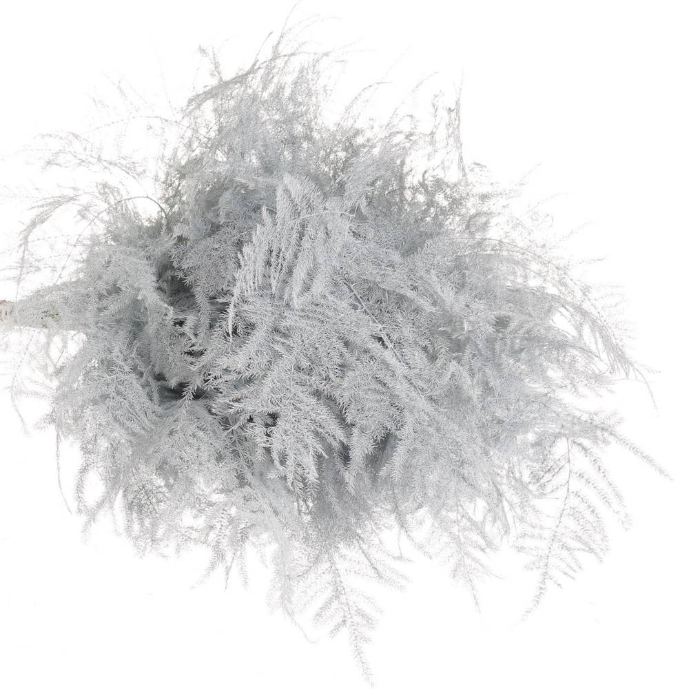 Plumosus weiss gefärbt 45cm (x25)