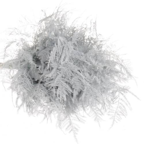 Plumosus weiss gefärbt 45cm (x25)