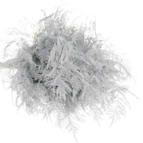 Plumosus weiss gefärbt 45cm (x25)